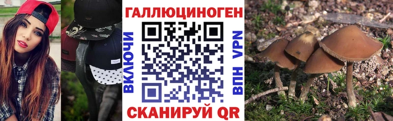 blacksprut ССЫЛКА  Сысерть  Галлюциногенные грибы Cubensis 